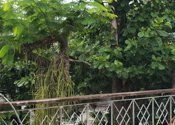 Alugo Quarto Proximo A Praia Em Nossa Residencia